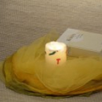FiVo 2012 - Biblivity